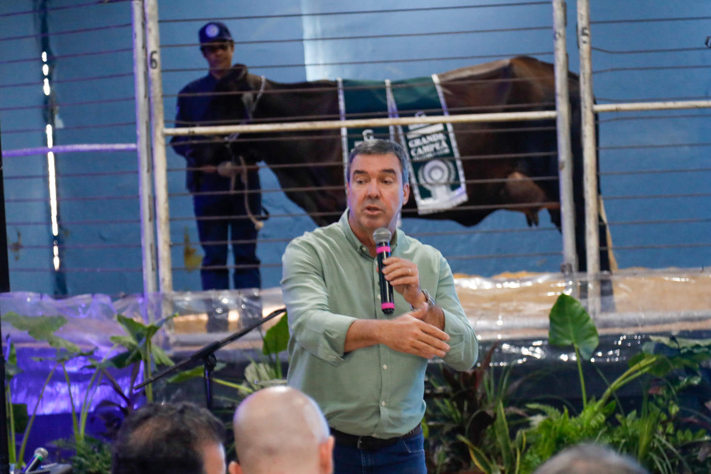 Políticas do Governo de MS para o agro alcançam êxito com avanços da cadeia do leite sul-mato-grossense