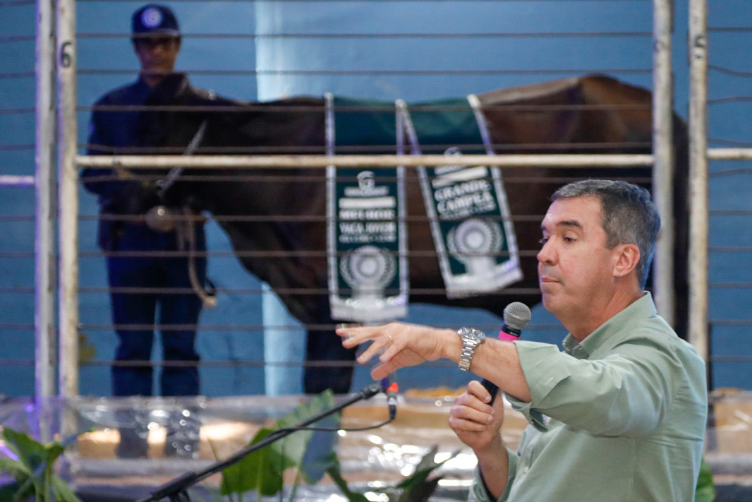 Políticas do Governo de MS para o agro alcançam êxito com avanços da cadeia do leite sul-mato-grossense