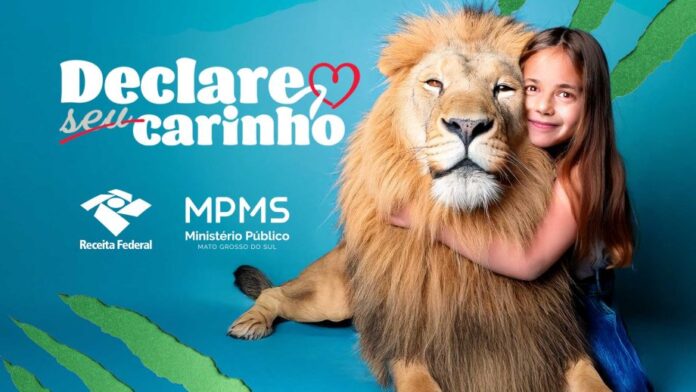 MPMS-Declare-Seu-Carinho-scaled