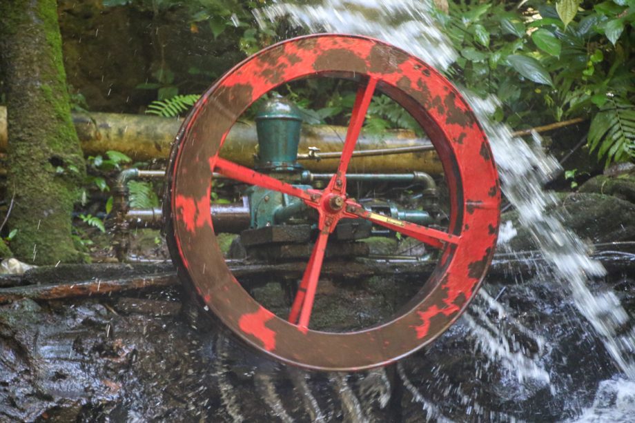 Crianças e adolescentes da Patrulha Florestinha vivenciam educação ambiental no Parque Natural Municipal do Pombo