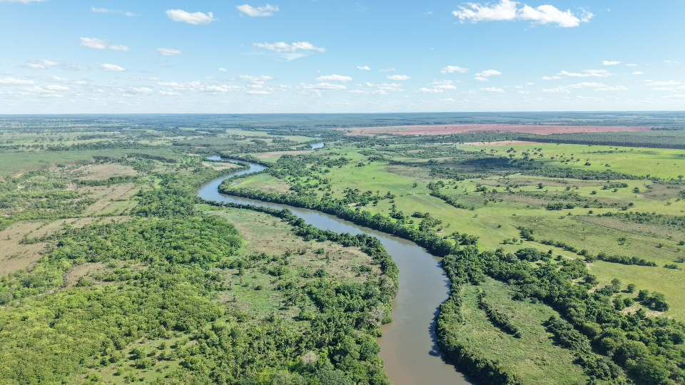 Aos 67 anos, Inocência vive novo ciclo de desenvolvimento com presença da Arauco Aos 67 anos, Inocência vive novo ciclo de desenvolvimento com presença da Arauco