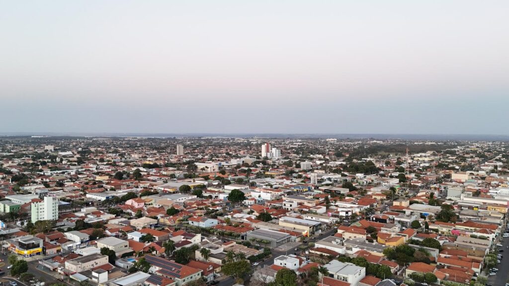 Como MS virou protagonista na produção de celulose e reposicionou o Brasil na cadeia global do setor