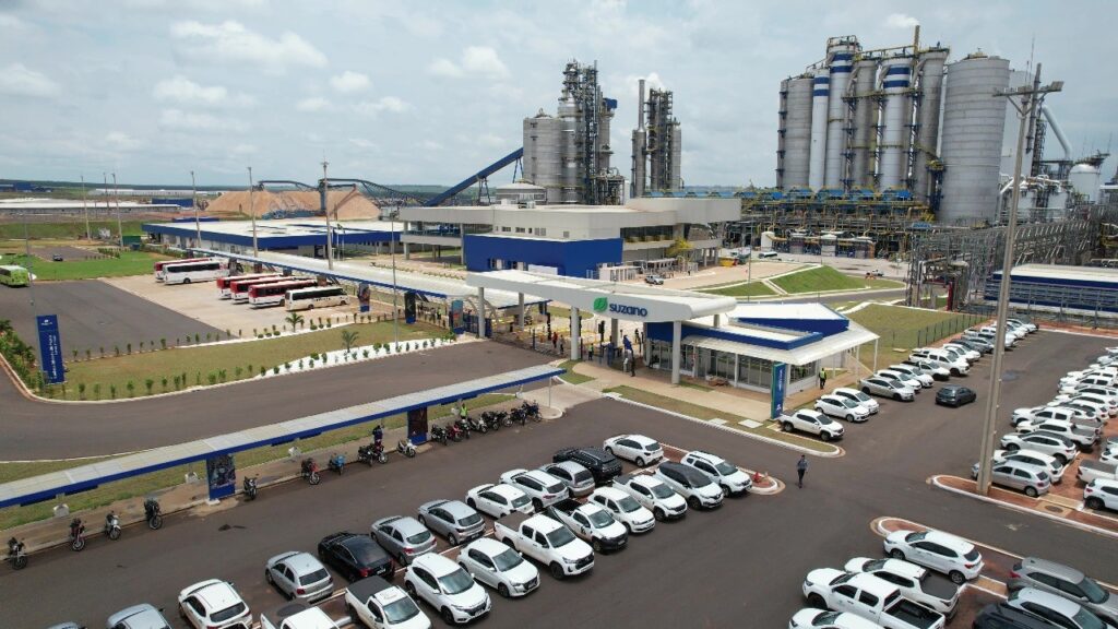 Vale da Celulose vive ‘boom bilionário’ e enfrenta desafios de mão de obra e infraestrutura