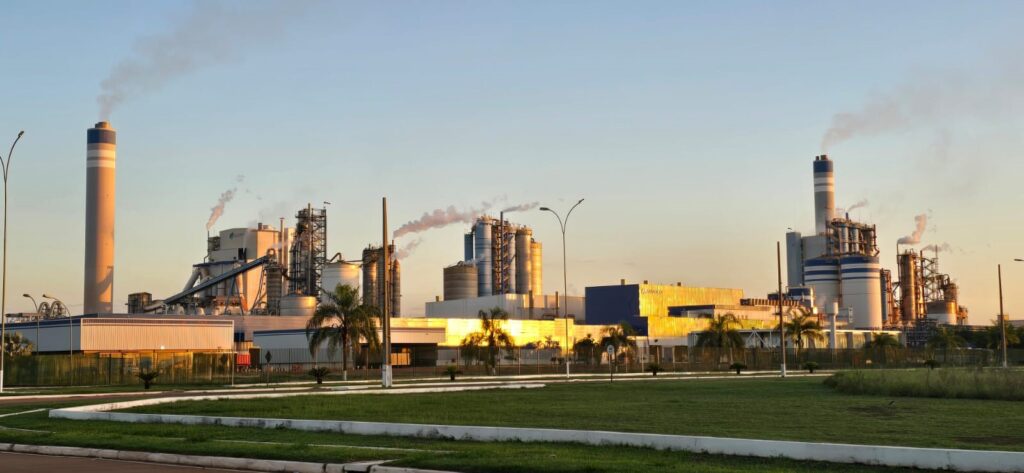 Vale da Celulose vive ‘boom bilionário’ e enfrenta desafios de mão de obra e infraestrutura