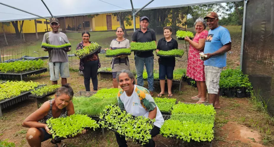 Cerrado cobre 62% de MS, mas espera há 16 anos lei nacional de proteção Cerrado cobre 62% de MS, mas espera há 16 anos lei nacional de proteção