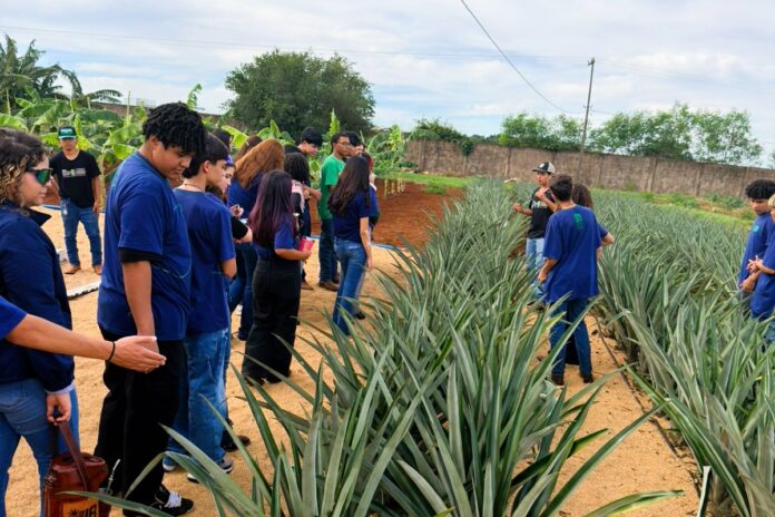 Ensino-profissional-em-agronegocio-revela-estudantes-na-Expoagro-Dourados-2