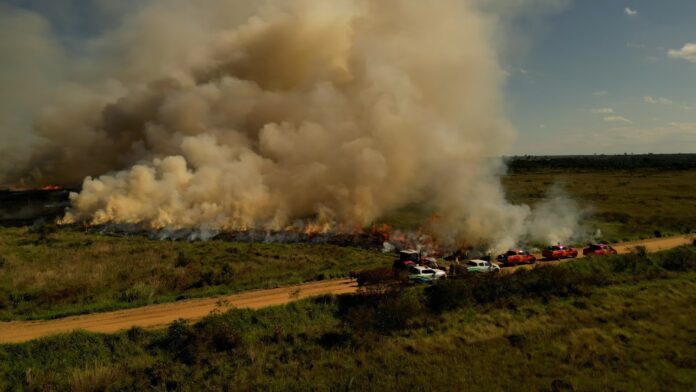 MIF-Queima-Prescrita-Foto-Ewerton-Pereira-Secom-7