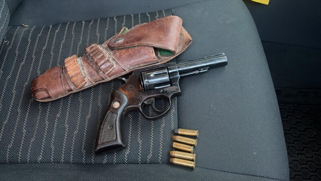 Cinco Pessoas são presas em flagrante e drogas e armas de fogo são apreendidas durante operação em Três Lagoas