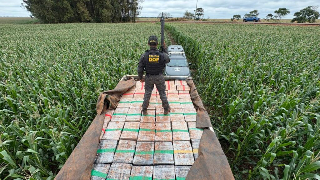 DOF apreende mais de 6 toneladas de maconha após perseguição em Dourados DOF apreende mais de 6 toneladas de maconha após perseguição em Dourados