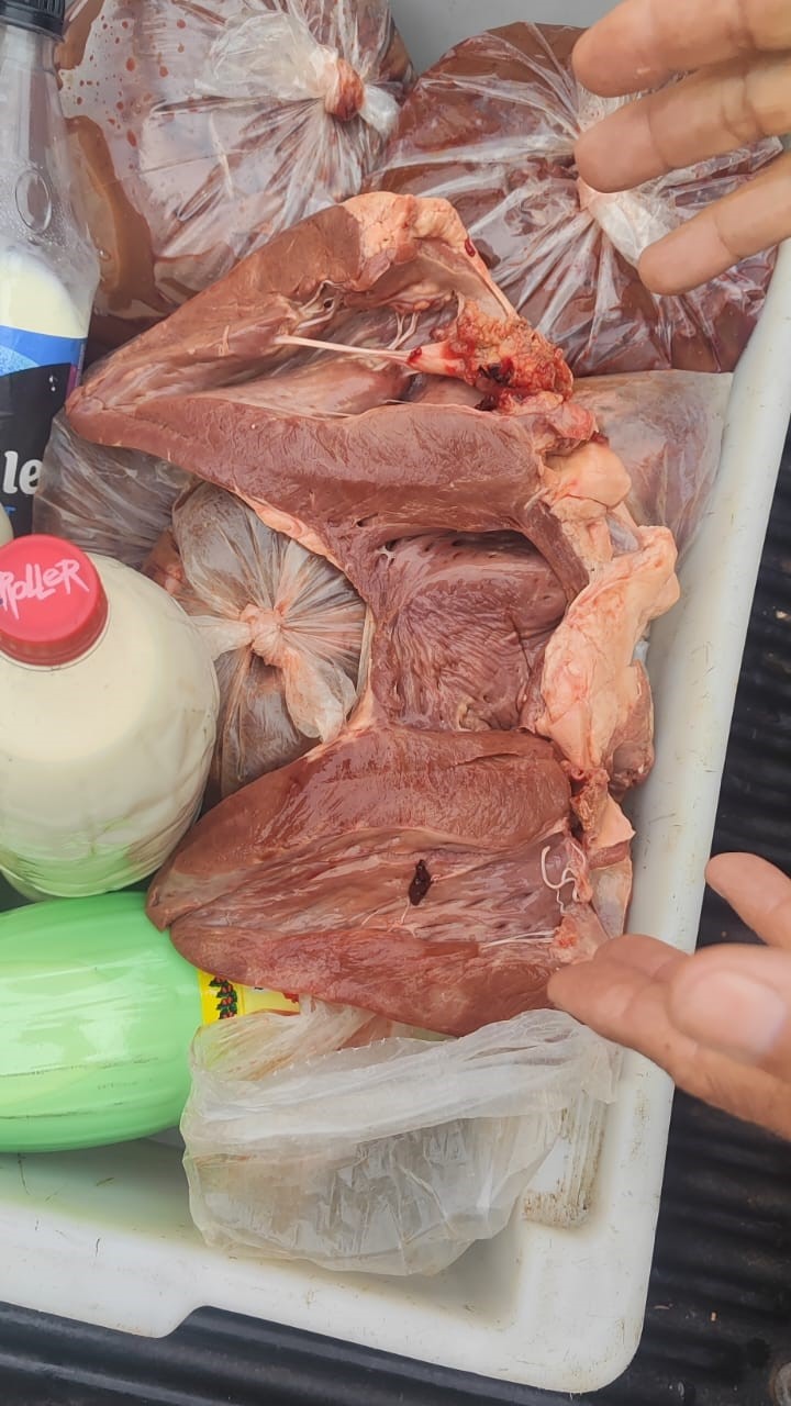 Força-tarefa apreende mais de 600 kg de carnes clandestinas e 154 litros de produtos impróprios para consumo em Paranaíba Força-tarefa apreende mais de 600 kg de carnes clandestinas e 154 litros de produtos impróprios para consumo em Paranaíba