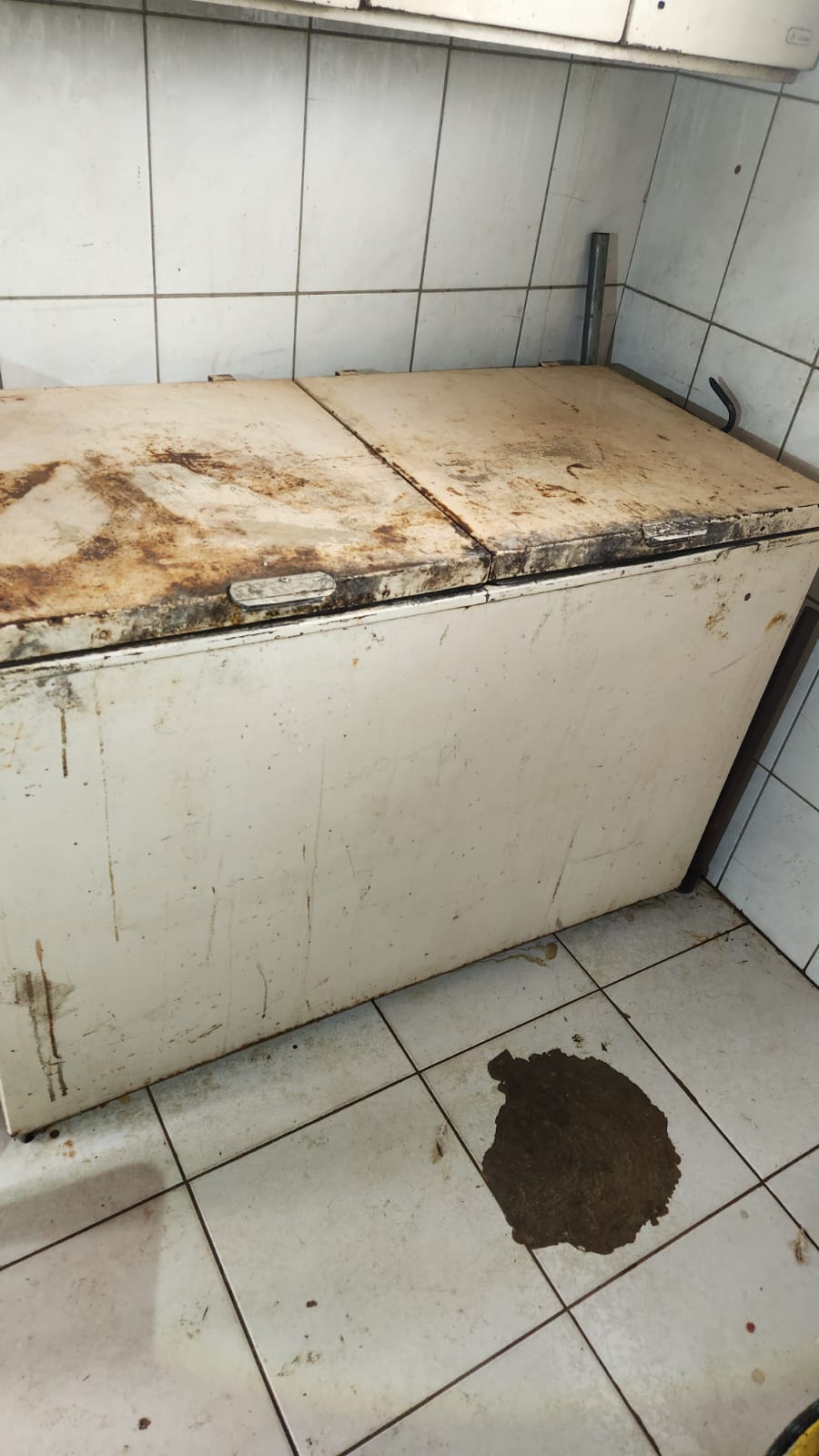 Força-tarefa apreende mais de 600 kg de carnes clandestinas e 154 litros de produtos impróprios para consumo em Paranaíba Força-tarefa apreende mais de 600 kg de carnes clandestinas e 154 litros de produtos impróprios para consumo em Paranaíba