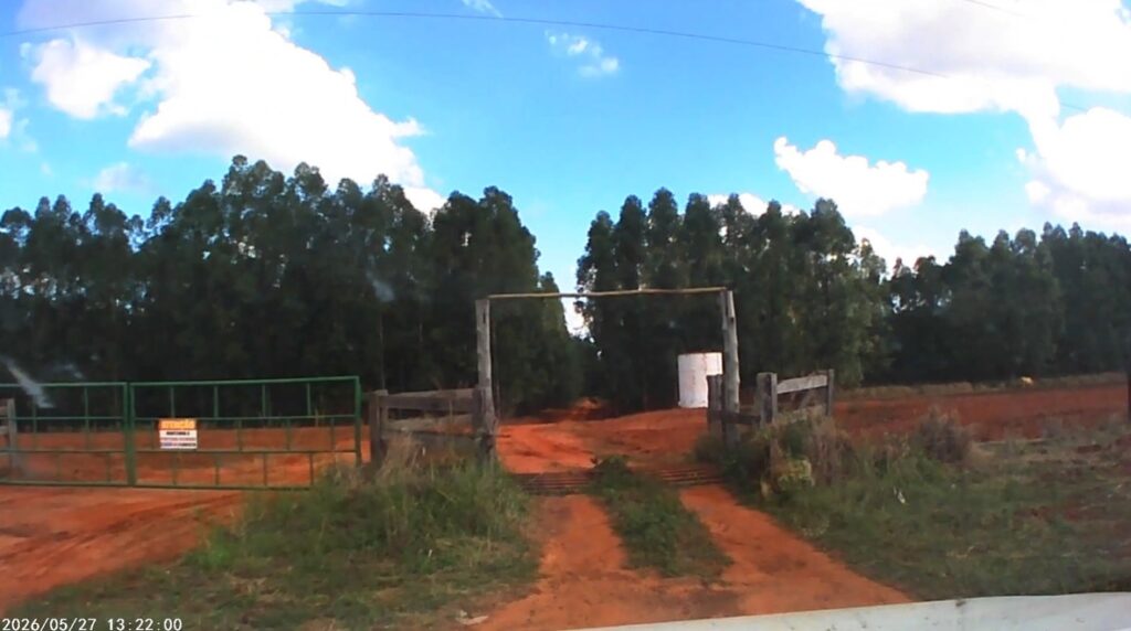 Abigeato: grupo em caminhonetes invade fazenda em MS para carnear bois sobreviventes de acidente Abigeato: grupo em caminhonetes invade fazenda em MS para carnear bois sobreviventes de acidente