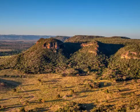 Cerrado cobre 62% de MS, mas espera há 16 anos lei nacional de proteção Cerrado cobre 62% de MS, mas espera há 16 anos lei nacional de proteção