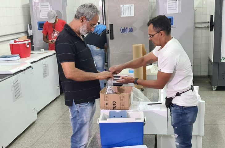Nem toda dose pode ser usada: entenda as perdas de vacinas no SUS