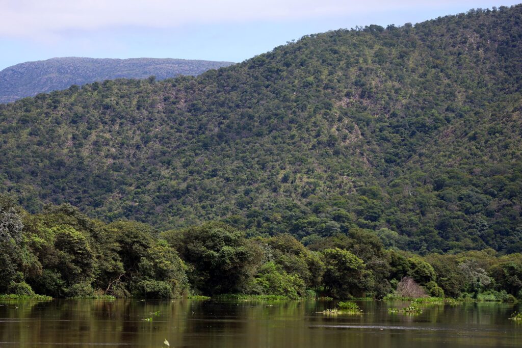 Para preservar o Pantanal, podutores rurais têm ações de conservação remuneradas por programa do Governo de MS Para preservar o Pantanal, podutores rurais têm ações de conservação remuneradas por programa do Governo de MS
