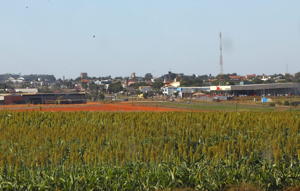 Investimentos em pesquisa ajudam a elevar produtividade e competitividade do agro de Mato Grosso do Sul Investimentos em pesquisa ajudam a elevar produtividade e competitividade do agro de Mato Grosso do Sul