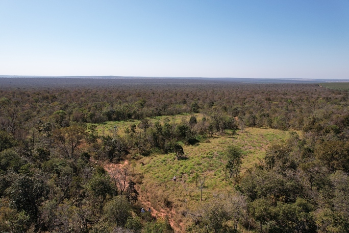 Suzano integra tecnologia e trabalho em rede para proteger mais de 300 mil hectares de Cerrado contra incêndios em MS Suzano integra tecnologia e trabalho em rede para proteger mais de 300 mil hectares de Cerrado contra incêndios em MS