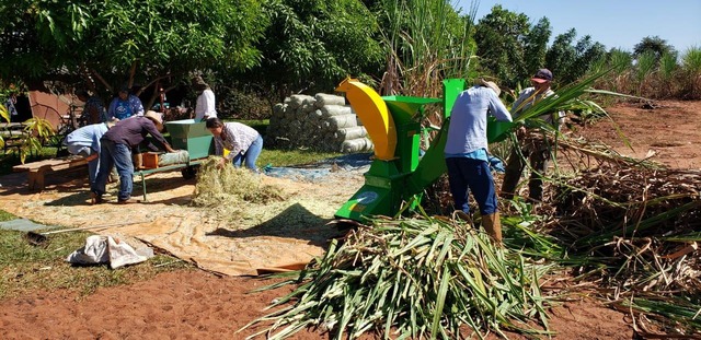 Em seis anos, projetos apoiados pela Suzano retiraram 31 mil pessoas da linha da pobreza em Mato Grosso do Sul