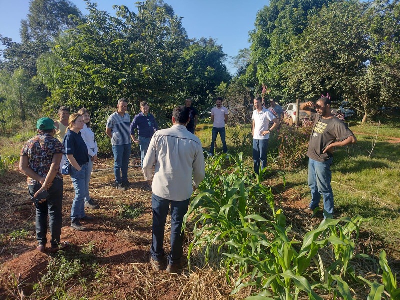 Em seis anos, projetos apoiados pela Suzano retiraram 31 mil pessoas da linha da pobreza em Mato Grosso do Sul