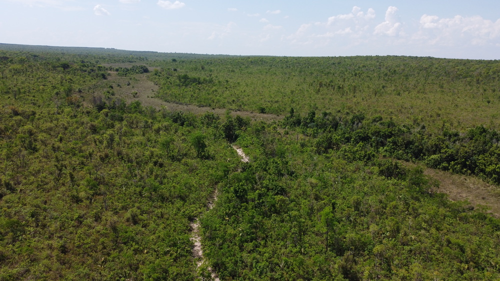 Suzano integra tecnologia e trabalho em rede para proteger mais de 300 mil hectares de Cerrado contra incêndios em MS Suzano integra tecnologia e trabalho em rede para proteger mais de 300 mil hectares de Cerrado contra incêndios em MS