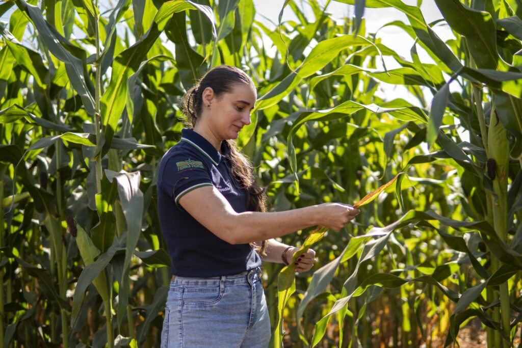 Investimentos em pesquisa ajudam a elevar produtividade e competitividade do agro de Mato Grosso do Sul Investimentos em pesquisa ajudam a elevar produtividade e competitividade do agro de Mato Grosso do Sul