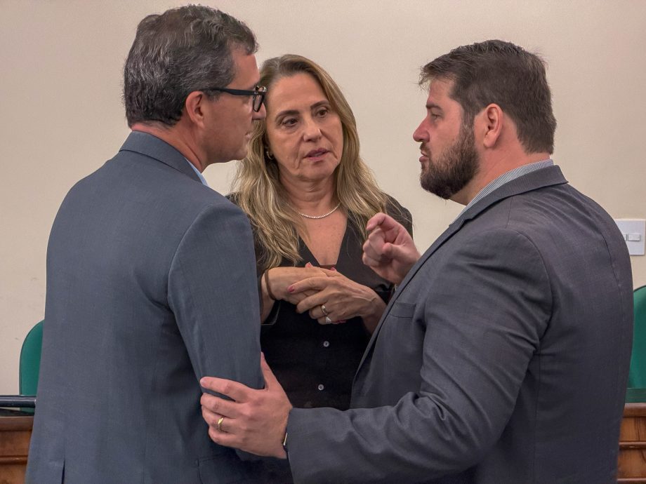 Projeto “Escutas na Cabana” fortalece rede de proteção à infância com capacitação em Três Lagoas Projeto “Escutas na Cabana” fortalece rede de proteção à infância com capacitação em Três Lagoas