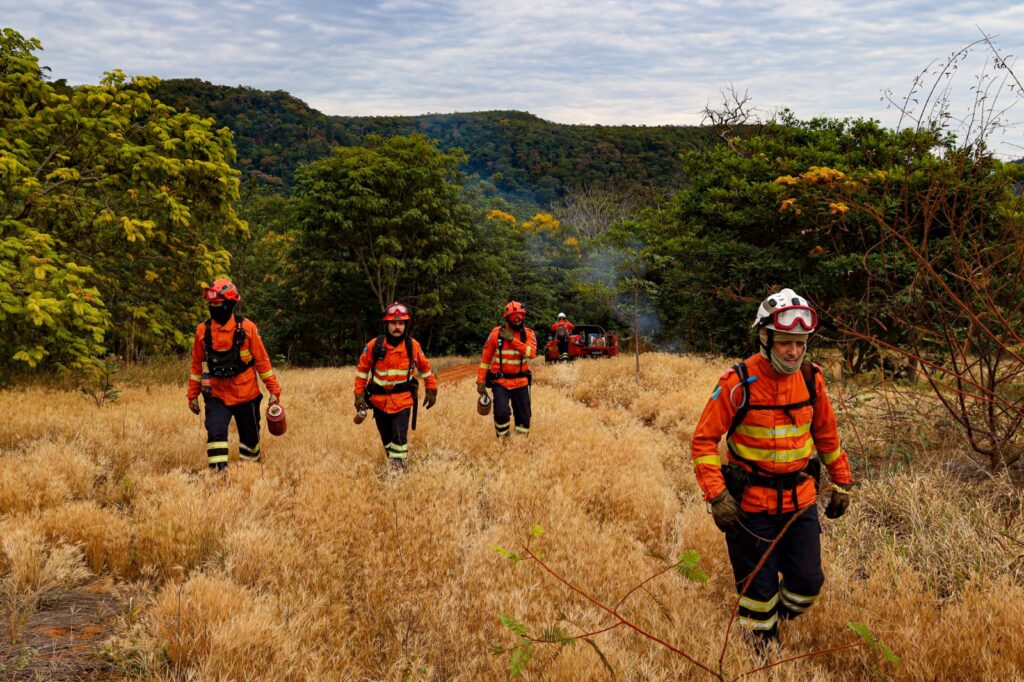 Bombeiros de MS se preparam para temporada de incêndios florestais com treinamentos e ações em campo Bombeiros de MS se preparam para temporada de incêndios florestais com treinamentos e ações em campo