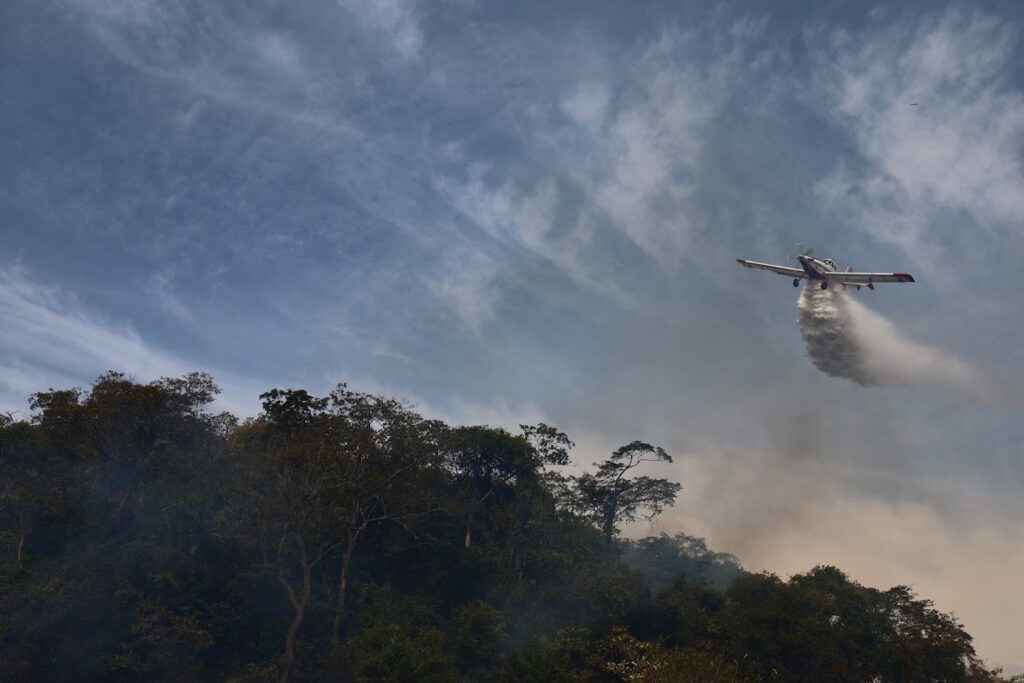 Bombeiros de MS se preparam para temporada de incêndios florestais com treinamentos e ações em campo Bombeiros de MS se preparam para temporada de incêndios florestais com treinamentos e ações em campo