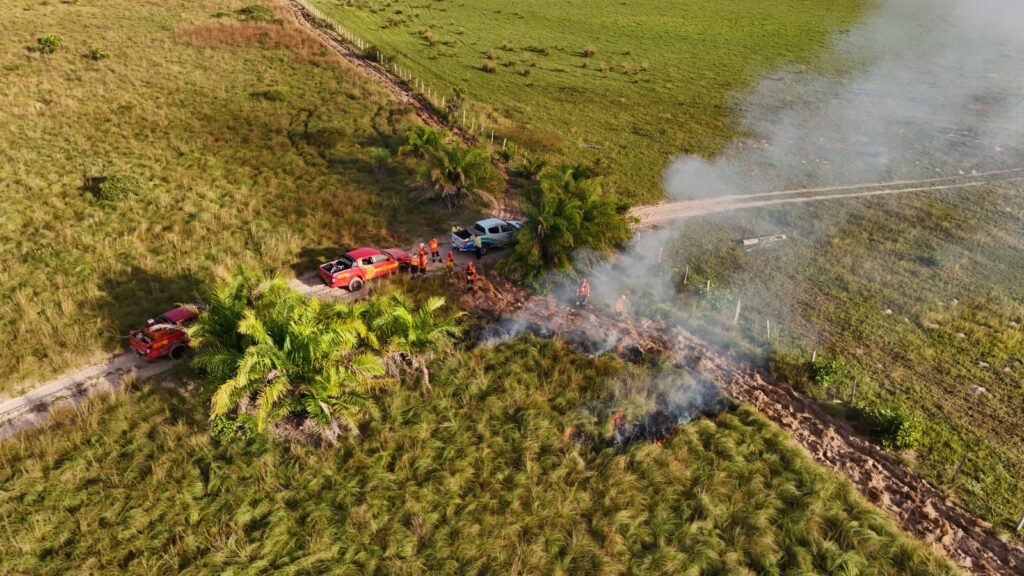 Bombeiros de MS se preparam para temporada de incêndios florestais com treinamentos e ações em campo Bombeiros de MS se preparam para temporada de incêndios florestais com treinamentos e ações em campo