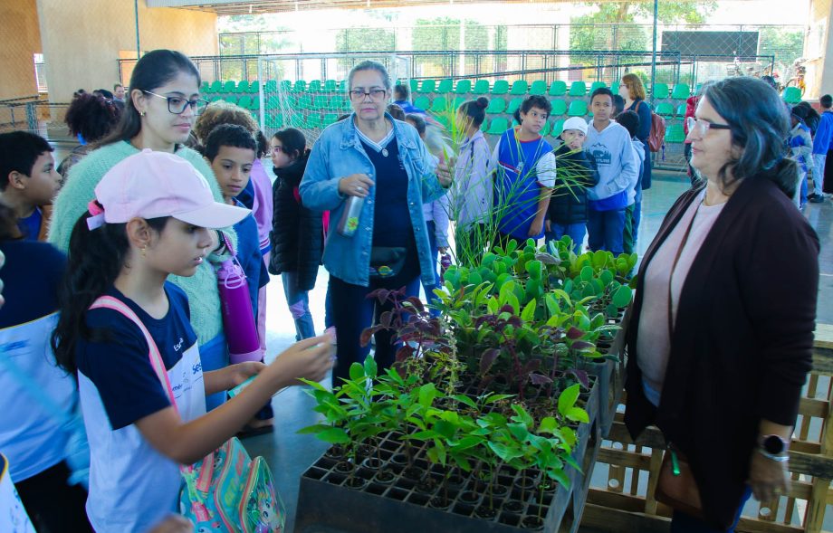 Feira “Uma Só Terra” reúne estudantes, parceiros e ações de conscientização durante a Semana Municipal do Meio Ambiente 2026 Feira “Uma Só Terra” reúne estudantes, parceiros e ações de conscientização durante a Semana Municipal do Meio Ambiente 2026