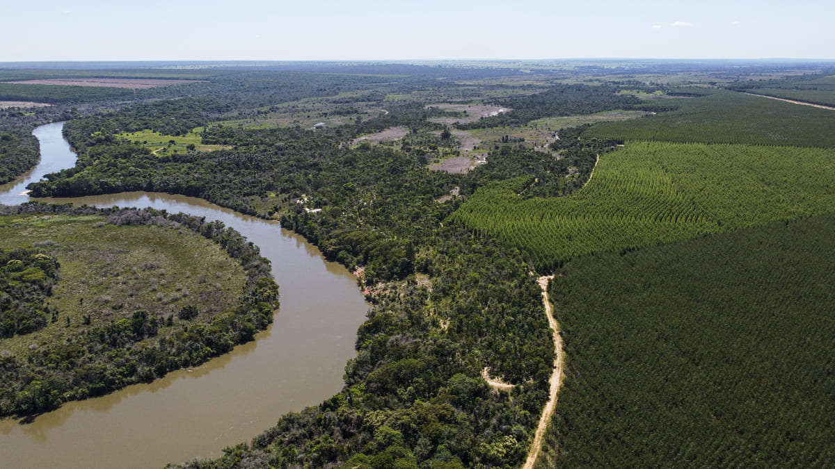 Suzano integra tecnologia e trabalho em rede para proteger mais de 300 mil hectares de Cerrado contra incêndios em MS Suzano integra tecnologia e trabalho em rede para proteger mais de 300 mil hectares de Cerrado contra incêndios em MS