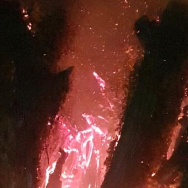Incêndio atinge seringueira histórica na Vila Piloto e mobiliza Corpo de Bombeiros