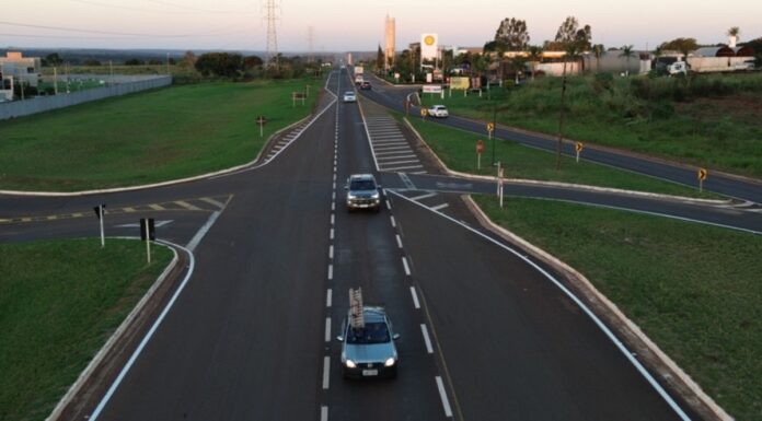 caminhos da celulose
