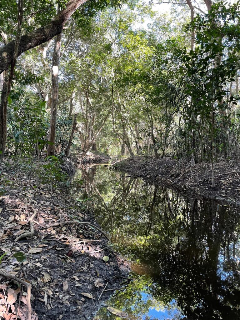 Para preservar o Pantanal, podutores rurais têm ações de conservação remuneradas por programa do Governo de MS Para preservar o Pantanal, podutores rurais têm ações de conservação remuneradas por programa do Governo de MS