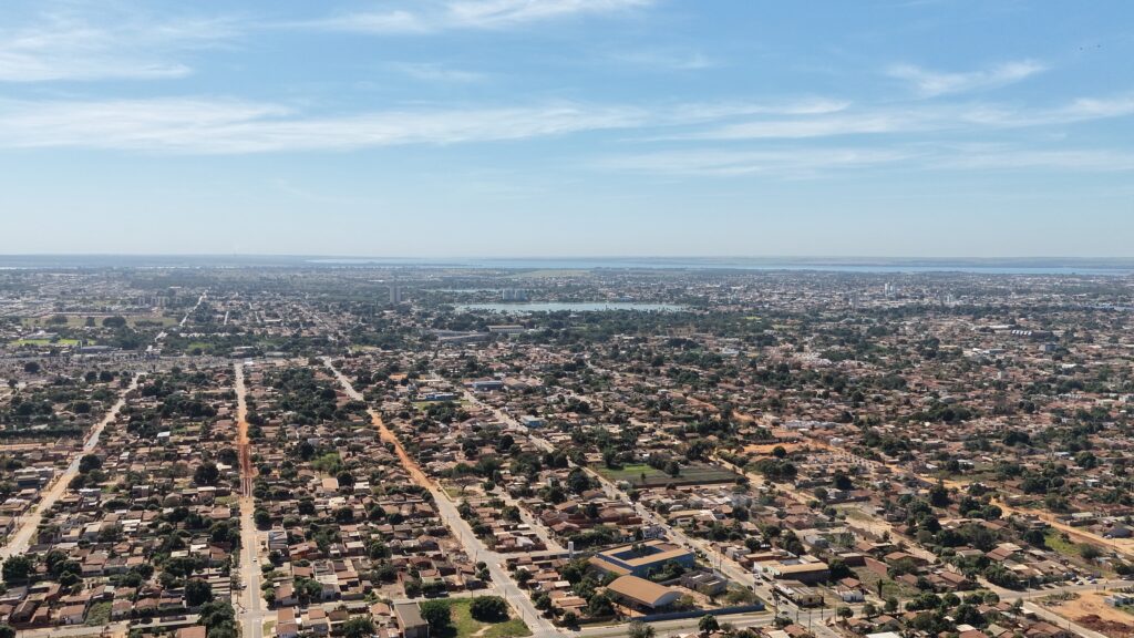 Eucalipto: a floresta que move a economia verde