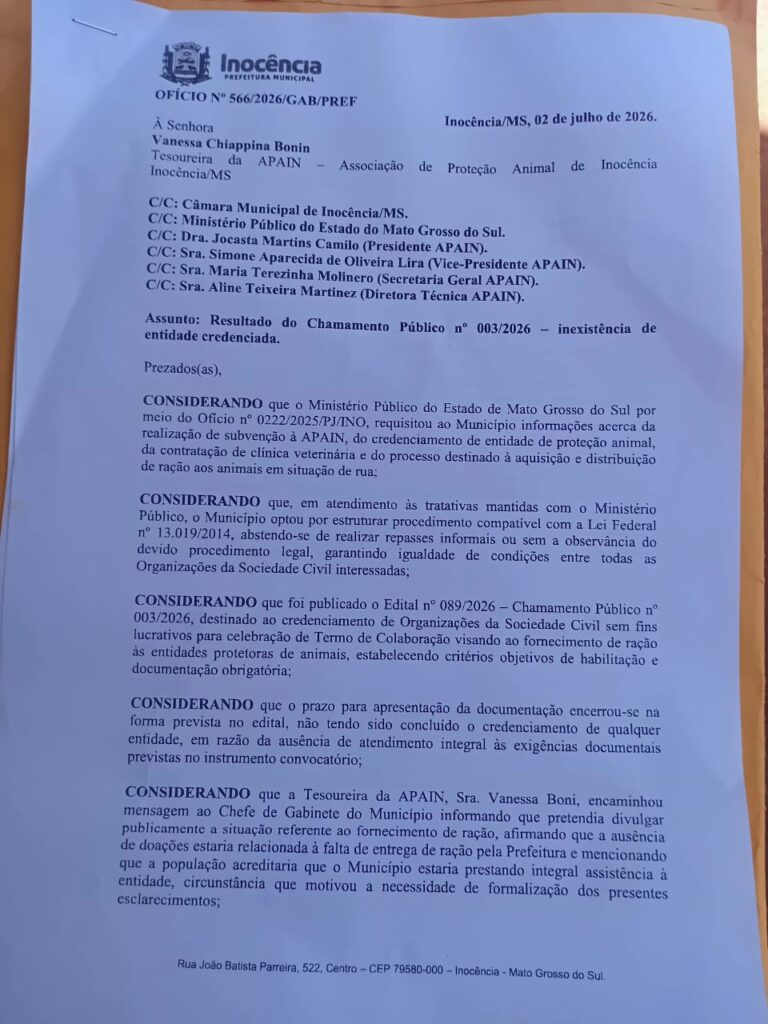 Cidade que abriga o maior projeto de celulose do mundo convive com mais de mil animais abandonados nas ruas Cidade que abriga o maior projeto de celulose do mundo convive com mais de mil animais abandonados nas ruas