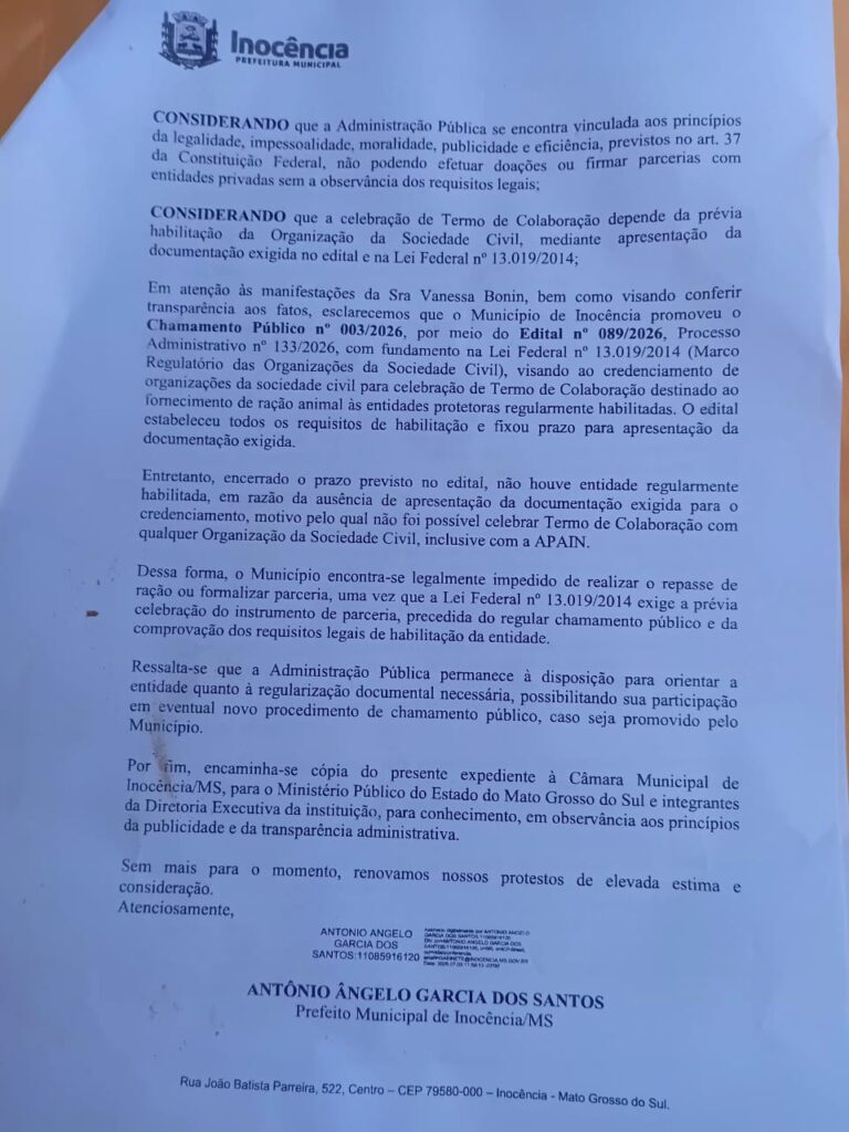 Cidade que abriga o maior projeto de celulose do mundo convive com mais de mil animais abandonados nas ruas Cidade que abriga o maior projeto de celulose do mundo convive com mais de mil animais abandonados nas ruas