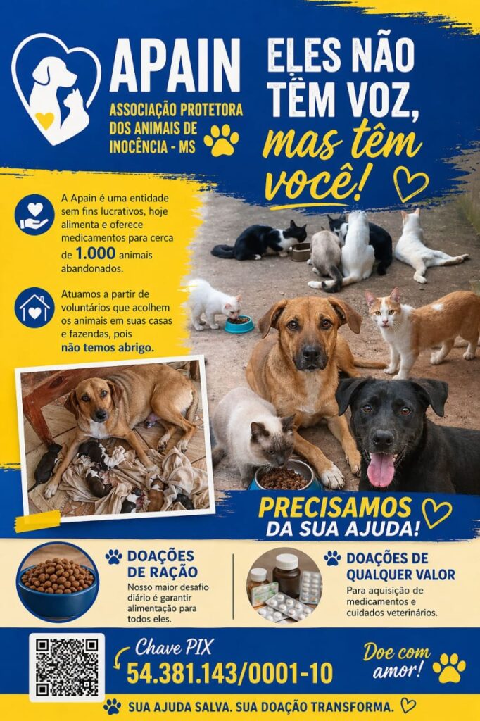 Cidade que abriga o maior projeto de celulose do mundo convive com mais de mil animais abandonados nas ruas Cidade que abriga o maior projeto de celulose do mundo convive com mais de mil animais abandonados nas ruas