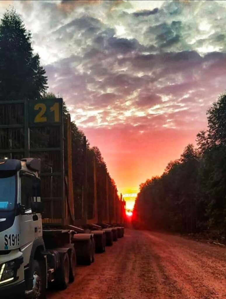 Expansão da silvicultura fortalece economia e mantém preservação ambiental em Mato Grosso do Sul Expansão da silvicultura fortalece economia e mantém preservação ambiental em Mato Grosso do Sul