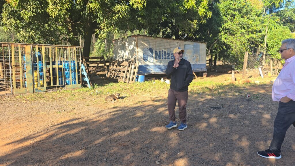 Abandono de animais na MS-112 acende alerta social no entorno do Projeto Sucuriú Abandono de animais na MS-112 acende alerta social no entorno do Projeto Sucuriú