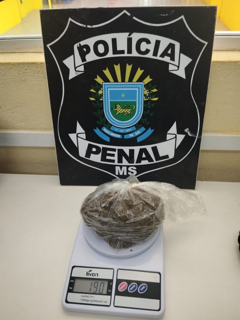 Policiais Penais frustram tentativas de entrada de drogas em presídio e reforça combate ao crime em Três Lagoas Policiais Penais frustram tentativas de entrada de drogas em presídio e reforça combate ao crime em Três Lagoas