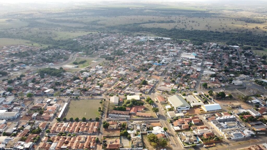 Cidade que abriga o maior projeto de celulose do mundo convive com mais de mil animais abandonados nas ruas Cidade que abriga o maior projeto de celulose do mundo convive com mais de mil animais abandonados nas ruas