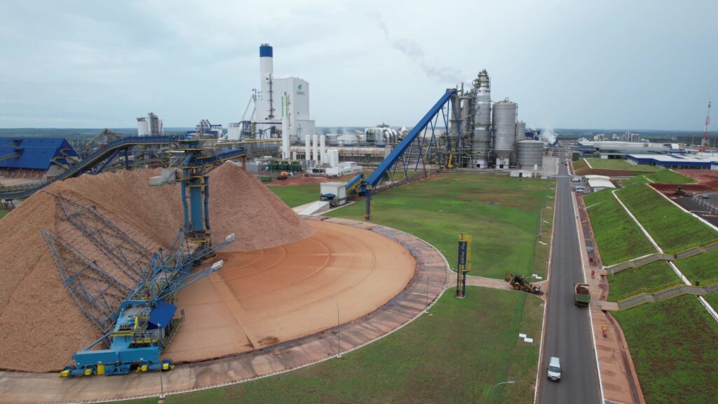 Silvicultura se consolida como motor Econômico e Sustentável na Costa Leste de Mato Grosso do Sul Silvicultura se consolida como motor Econômico e Sustentável na Costa Leste de Mato Grosso do Sul