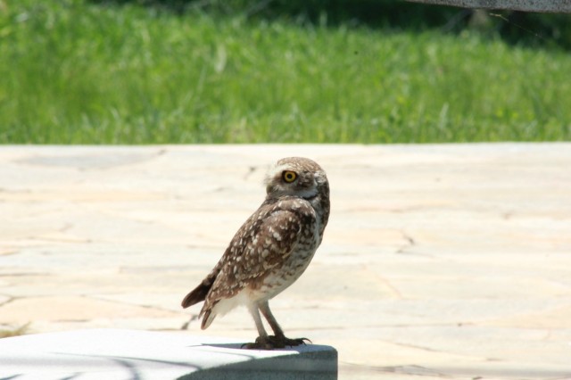 Confraternização da equipe Perfilnews na Pousada do Tucunaré