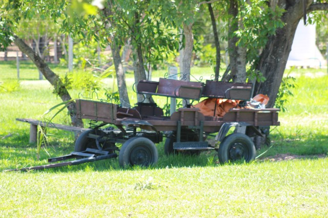 Confraternização da equipe Perfilnews na Pousada do Tucunaré