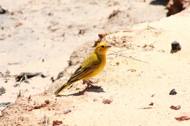 Confraternização da equipe Perfilnews na Pousada do Tucunaré
