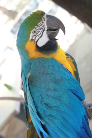 Confraternização da equipe Perfilnews na Pousada do Tucunaré