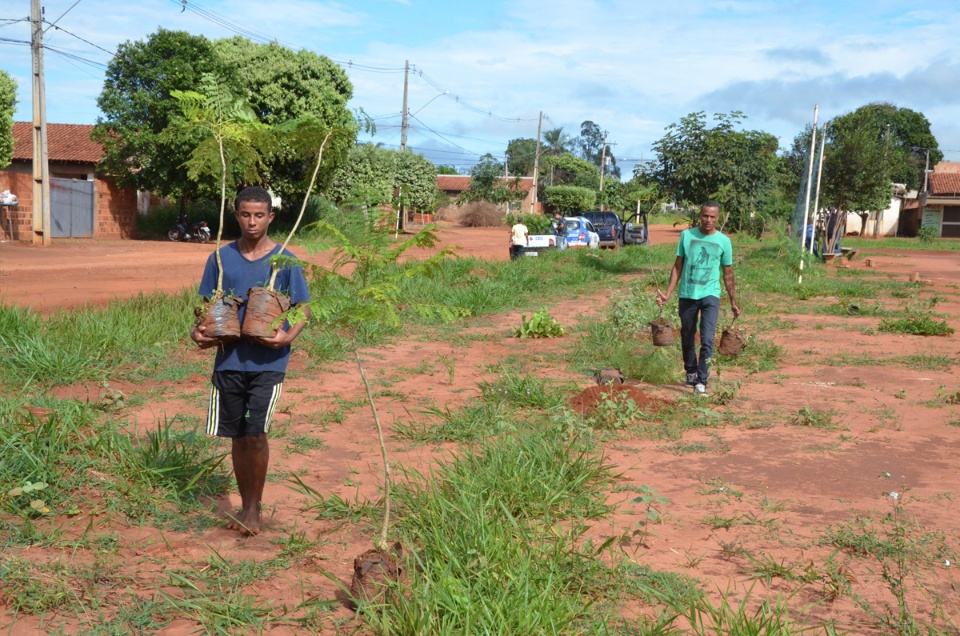 Projeto Áreas Mais Verdes chega ao Jardim Flamboyant