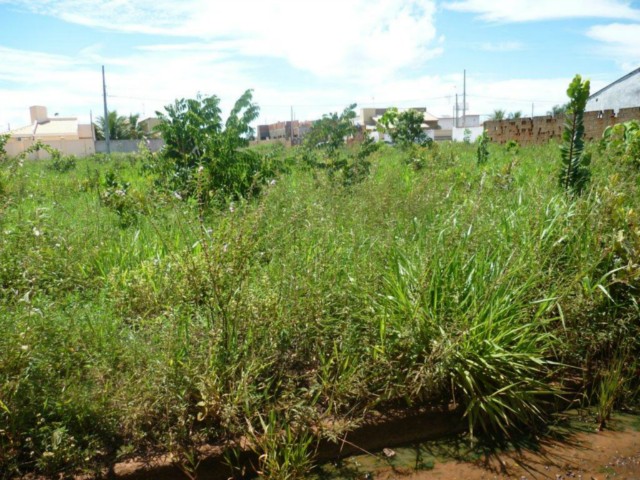 Moradora do Jardins dos Ipês reclama do abandono do bairro