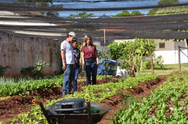 Horta do Centro POP é restaurada e começa a produzir verduras e legumes